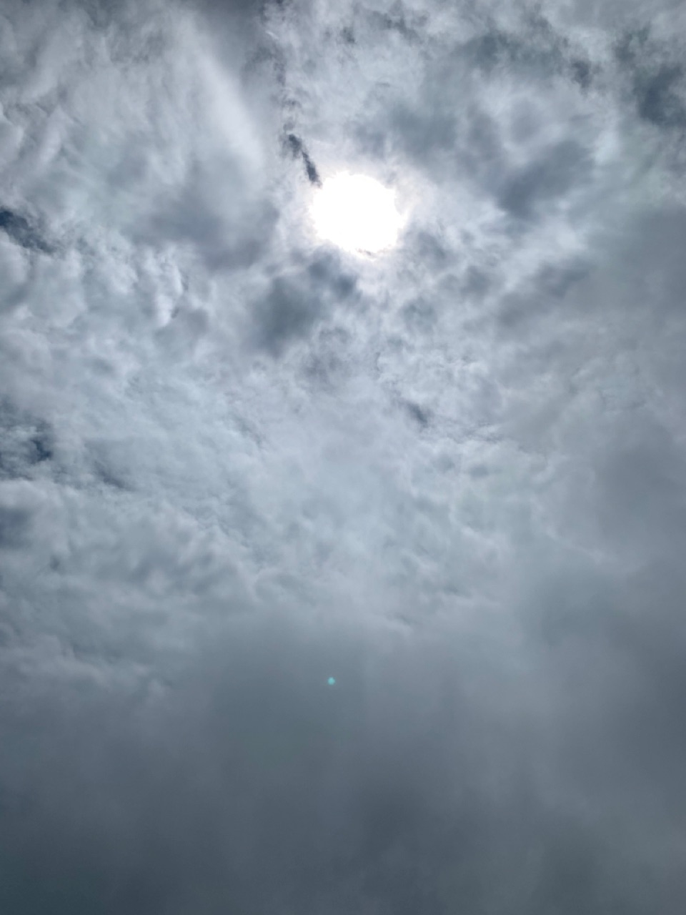 合眾電氣產業園封頂天氣 合眾電氣產業園封頂天氣